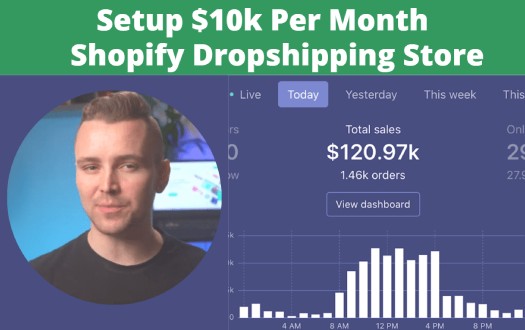 Ready 24 Hours Custom Starter Shopify Dropshipping Store/Website 